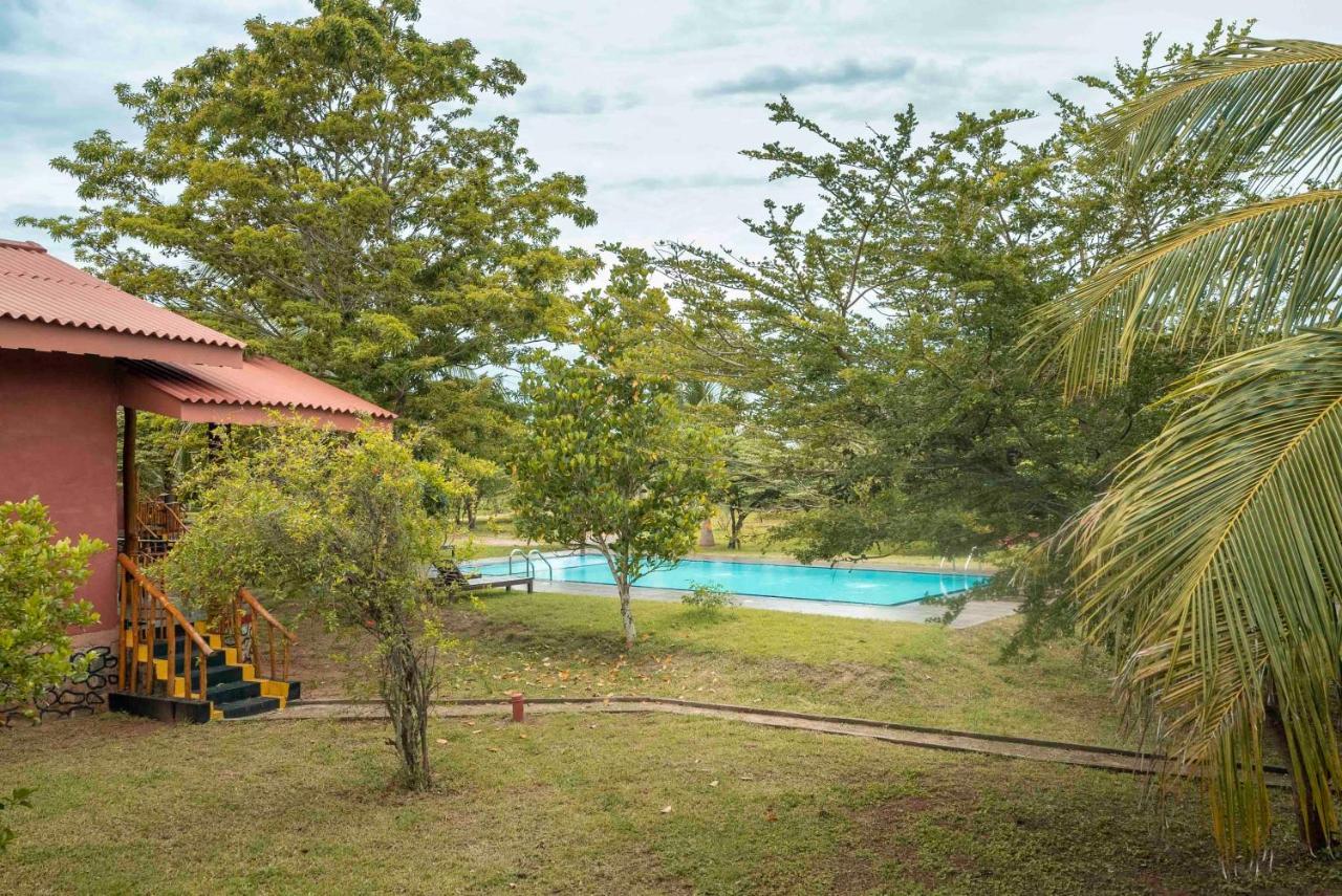 Yala Peace Cottages ทิซซามาฮารามา ภายนอก รูปภาพ