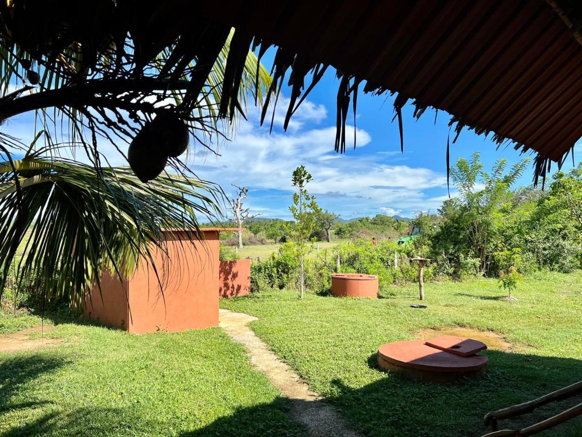 Yala Peace Cottages ทิซซามาฮารามา ภายนอก รูปภาพ