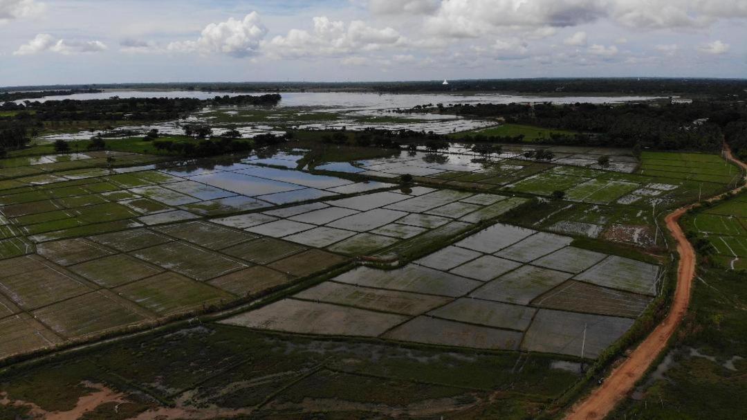 Yala Peace Cottages ทิซซามาฮารามา ภายนอก รูปภาพ
