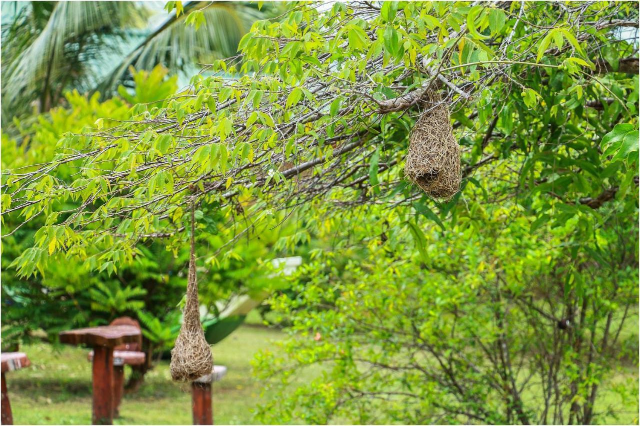 Yala Peace Cottages ทิซซามาฮารามา ภายนอก รูปภาพ
