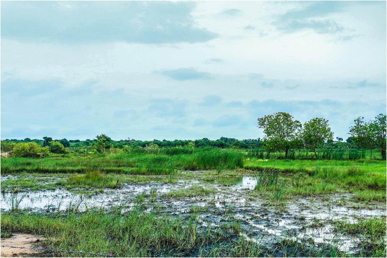 Yala Peace Cottages ทิซซามาฮารามา ภายนอก รูปภาพ