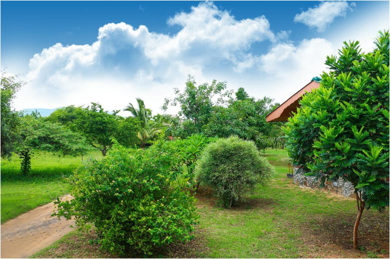 Yala Peace Cottages ทิซซามาฮารามา ภายนอก รูปภาพ