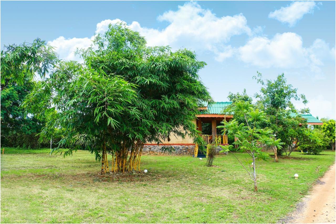 Yala Peace Cottages ทิซซามาฮารามา ภายนอก รูปภาพ