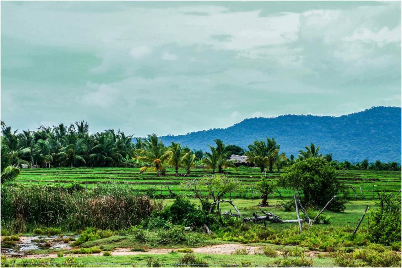 Yala Peace Cottages ทิซซามาฮารามา ภายนอก รูปภาพ