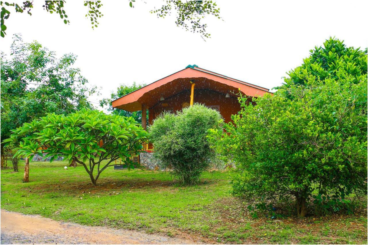 Yala Peace Cottages ทิซซามาฮารามา ภายนอก รูปภาพ