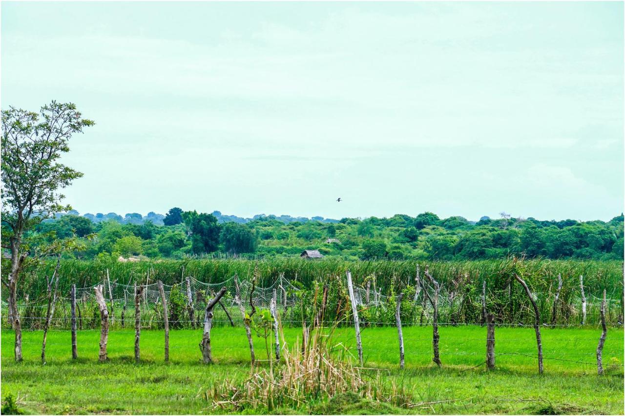 Yala Peace Cottages ทิซซามาฮารามา ภายนอก รูปภาพ